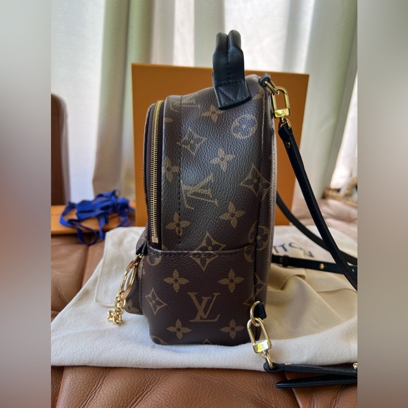 Louis Vuitton Palm Springs Mini - Picture 5 of 12